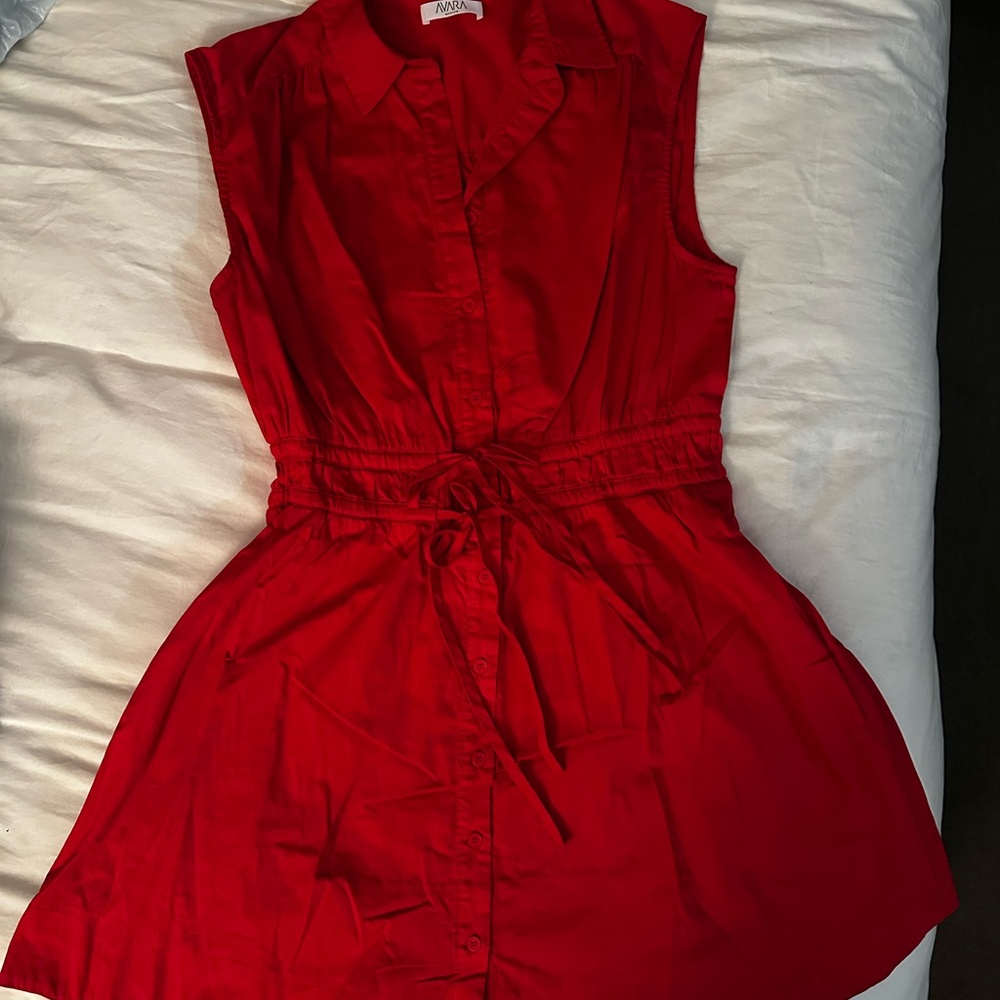 Aritzia Scarlet Sleeveless Mini Dress